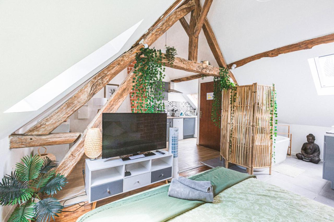 Ferienwohnung Au Zen Garden Auxerre Exterior foto